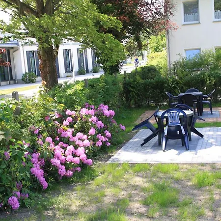 Having Apartment *